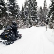 16th Annual Snowmobile Day